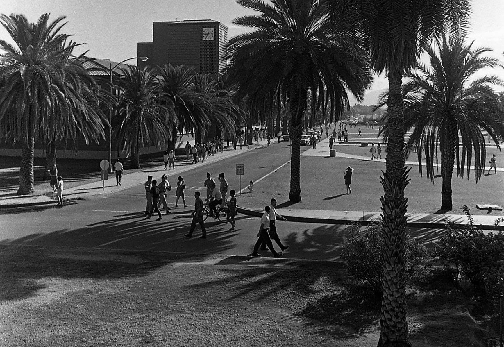 University of Arizona: Mall